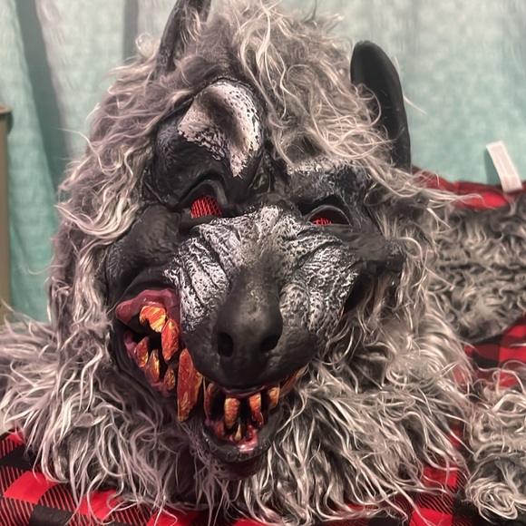 Kids size Medium (8-10) werewolf costume - Picture 4 of 5
